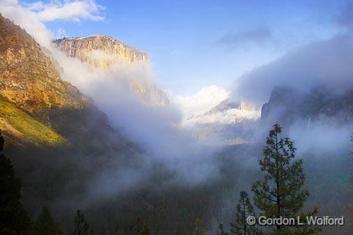 Yosemite Valley_22862.jpg - Photographed in Yosemite National Park, California, USA.